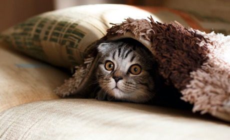 Як утриматися від паніки? Короткі поради від нікопольської психологині Ірини Штанько