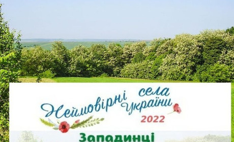 Новини Хмельниччини. Про вартість проїзду, бізнес-проєкти та махінації