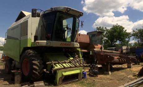 Жнива під час війни: як бойові дії вплинули на фермерів та збір врожаю