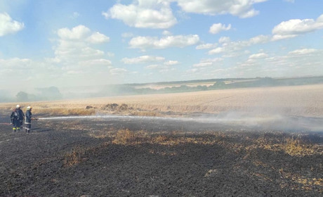 У Калинівській громаді сталася пожежа на хлібному полі