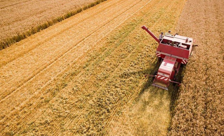 Одеські аграрії зібрали два мільйони тонн зернових