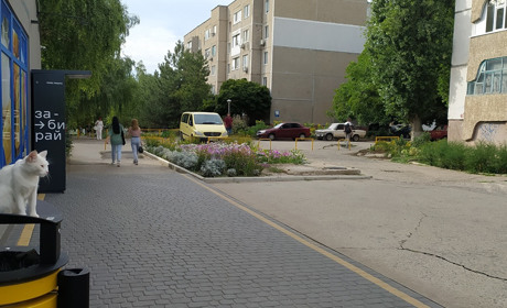 Погода в Южноукраїнську: останній місяць літа розпочнеться дощами