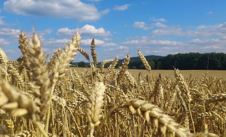 Погода в Старокостянтинові на 1-7 серпня: чи повернеться спека
