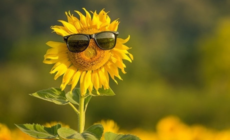 Чого чекаєте від серпня? Усі зміни, які несе останній місяць літа