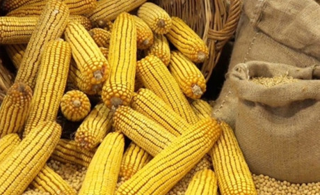 Перше судно з українським збіжжям вийшло з порту Одеси