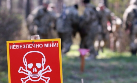 Люди йдуть в ліс по гриби і ягоди, хоча розміновано лише 10% території поряд Житомирської траси