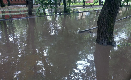 Жовті Води накрила сильна злива: дороги залило водою і поламало дерева. Відео