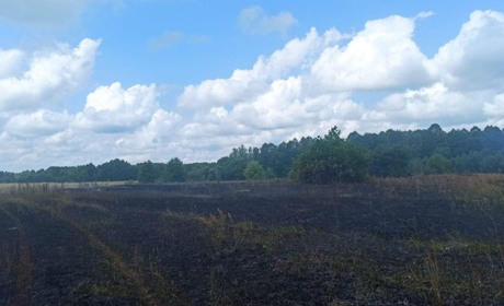 З САУ та мінометів російські війська обстрілювали чернігівське прикордоння