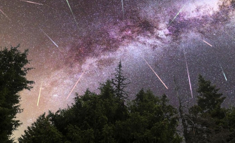 Не пропустіть зорепад в ніч на 12 серпня!