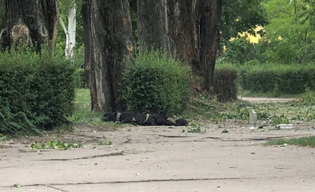 В Енергодарі знову обстріли: місцеві чули кілька вибухів
