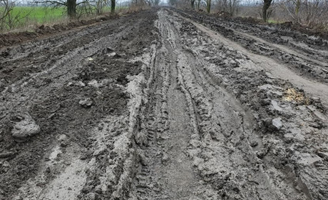 Виїзд на тимчасово окуповані території Запоріжжя призупинено