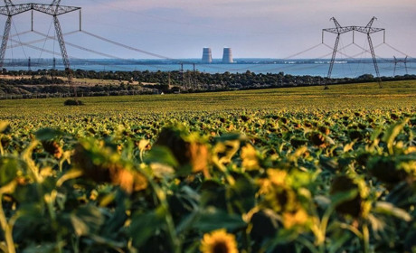 Нікопольці підписали відкритий лист до Генсека ООН, Гендиректора МАГАТЕ та Посла США в Україні