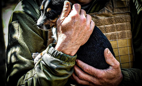 На передових позиціях з чотирилапими побратимами
