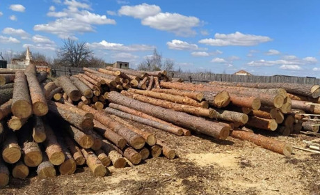 У Вараському районі на потреби ЗСУ передали лісопродукцію вилучену у ході досудового розслідування