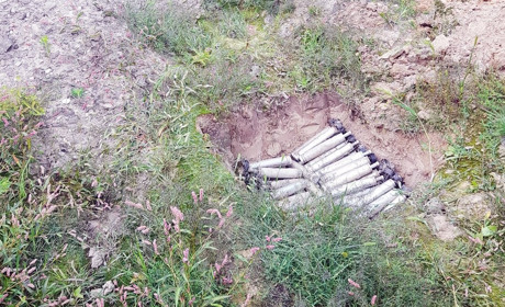 Не Патрон, але теж герой. Як шукає вибухівку пухнастий піротехнік Джек