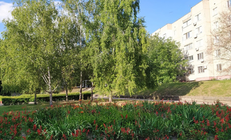 Наступний тиждень порадує южноукраїнців приємною літньою погодою