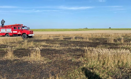 На Кременеччині вогонь знищив два гектари пшеничного поля