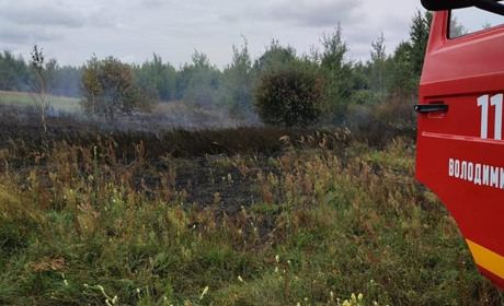 Пожежа у селі Зелениця: горіла трава