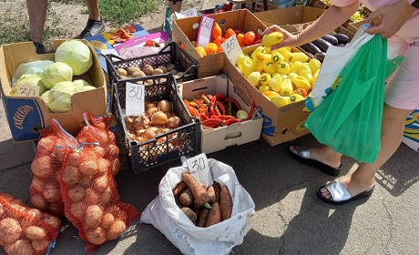 Скільки коштують овочі, фрукти та ягоди наприкінці літа на ринку “Джина” в Жовтих Водах