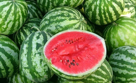 На Одещині кавун з Херсона продали за 2000 гривень. Кошти підуть на ЗСУ. ВІДЕО