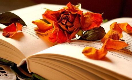 Детективи та трилери, від яких не відірватися: добірка нових книжок цієї осені