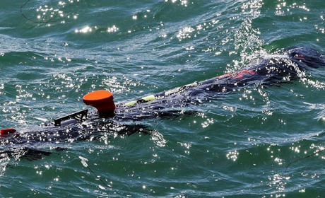 Британські підводні дрони допоможуть очистити Чорне море від російських мін (фото)