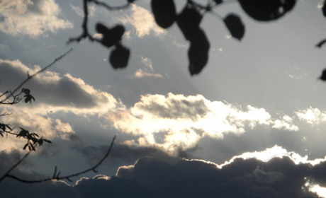 Погода в Кагарлику та Ржищеві на тиждень - з 5 по 11 вересня