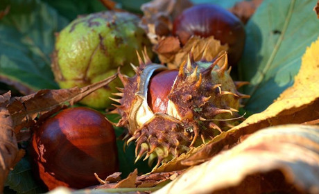 Погода у Старокостянтинові на 5-11 вересня: перші заморозки у повітрі