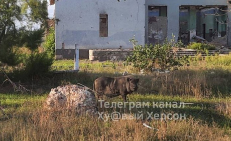 У Високопіллі місцеві зустрічали ЗСУ вигуками "Слава Україні!", а окупанти покинули особисті речі