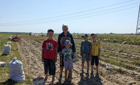 Сезон у розпалі: як на Сарненщині копають картоплю, скільки коштує та який врожай