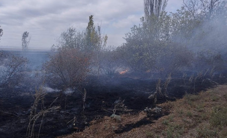 8 вересня у Миколаївські області сталися шість пожеж, з яких одна — від ворожого обстрілу