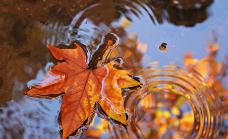 Погода на 12-18 вересня: осіння прохолода та дощі