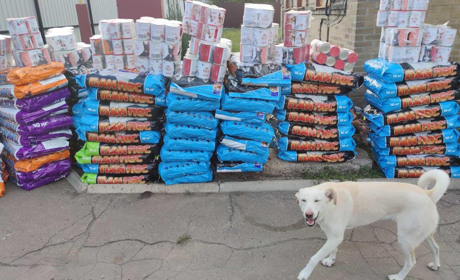 Турбота не лише про людей: тваринок Добропілля на Білозерського забезпечили кормом