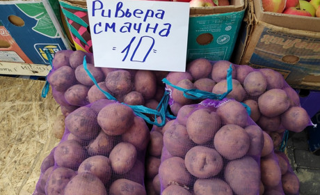 Інфляція на споживчому ринку Миколаївщини у серпні склала 0,5%: найбільше здорожчали рис та яйця