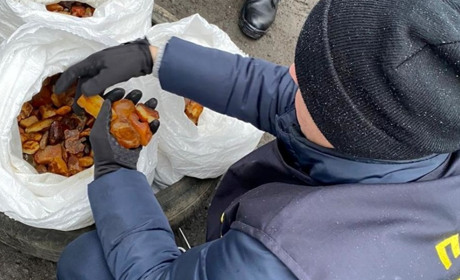 Незаконні оборудки з бурштином: сільського голову засуджено на чотири роки в колонії