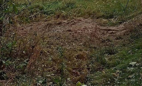 17 вересня Сновську громаду на Чернігівщині обстріляли з мінометів