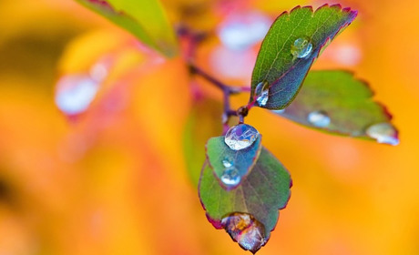 Погода в Старокостянтинові на 19-25 вересня: дощитиме майже щодня