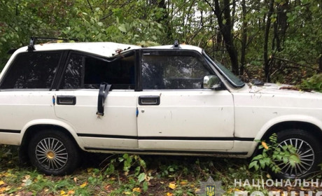 В Мартинівці Барської громади дерево впало на машину і вбило водія