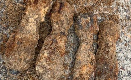 На Сарненщині сапери знищили мінометні міни