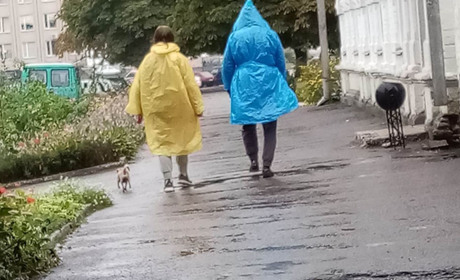 На вихідні Золотоніщину очікують заморозки