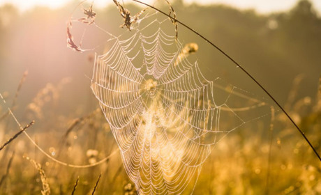 В Україну йде бабине літо: обіцяють температуру вище 20 градусів