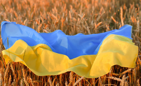 Щоденник війни. Тиждень двадцять четвертий. Що значить, коли рекламою ЗСУ займаються.