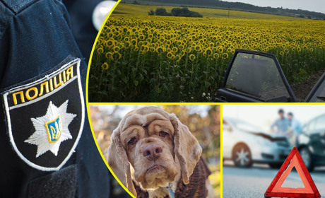 На Переяславщині затримали водія, який на полі подавив соняхи: хроніка поліцейської доби 28 вересня