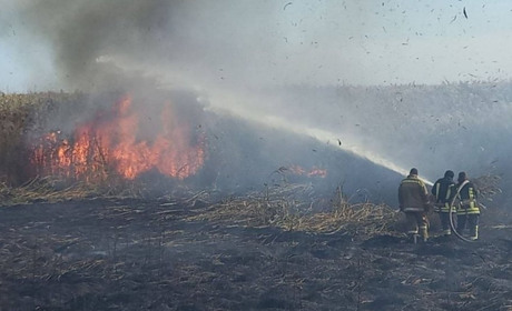 В біосферному заповіднику на Одещині сталася пожежа