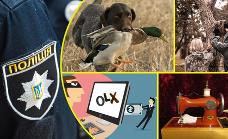 На Переяславщині сусіди конфліктували через дерево та качок: хроніка поліції 29 вересня