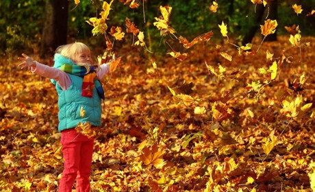 А у жовтні дощів поменшає? Прогнози синоптиків на другий місяць осені