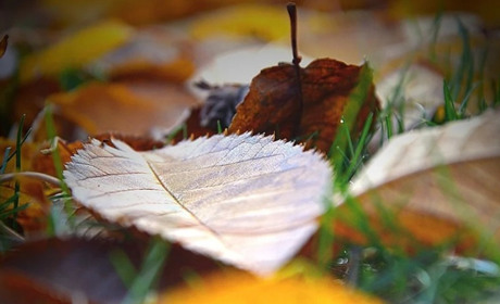 Погода на 3-9 жовтня: коли прийде бабине літо