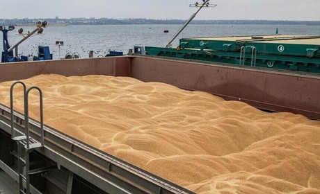 У вересні рівень експорту з Одеських портів зріс вдвічі