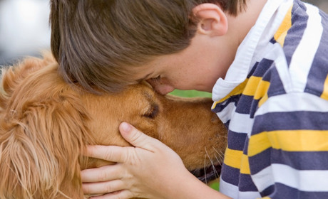 У школах Южного проводять уроки доброти разом із зооволонтерами