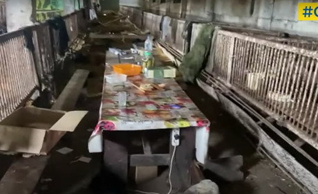 Під одним дахом із поросятами: на Херсонщині окупанти облаштували "командний пункт" у свинарнику